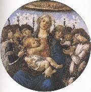 Sandro Botticelli Madonna and Child with eight Angels or Raczinskj Tondo (mk36) oil